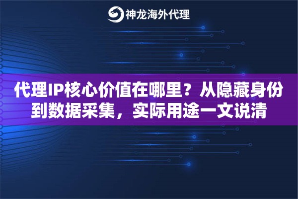 代理IP核心价值在哪里?从隐藏身份到数据采集,实际用途一文说清 代理IP核心价值在哪里?从隐藏身份到数据采集,实际用途一文说清