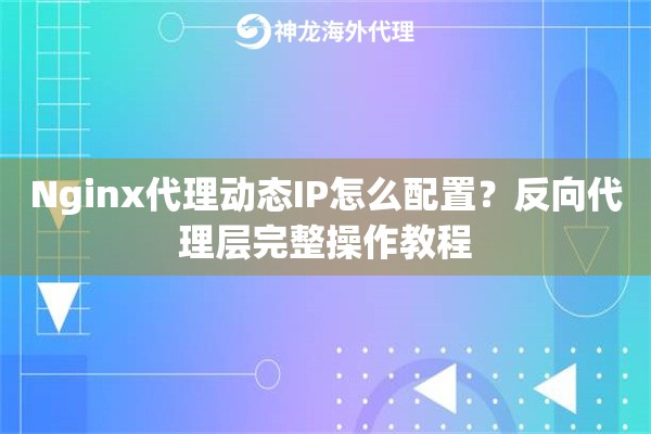 Nginx代理动态IP怎么配置？反向代理层完整操作教程