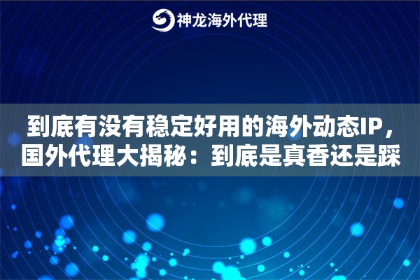 到底有没有稳定好用的海外动态IP，国外代理大揭秘：到底是真香还是踩坑