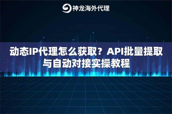 动态IP代理怎么获取？API批量提取与自动对接实操教程