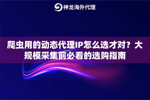 爬虫用的动态代理IP怎么选才对？大规模采集前必看的选购指南