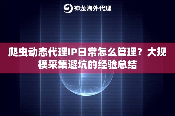 爬虫动态代理IP日常怎么管理？大规模采集避坑的经验总结