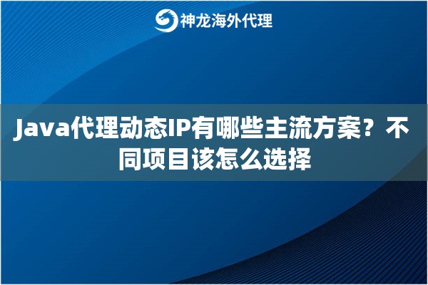Java代理动态IP有哪些主流方案？不同项目该怎么选择