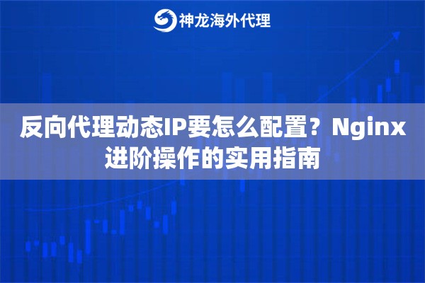 反向代理动态IP要怎么配置？Nginx进阶操作的实用指南