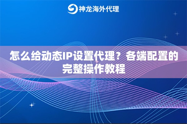 怎么给动态IP设置代理？各端配置的完整操作教程