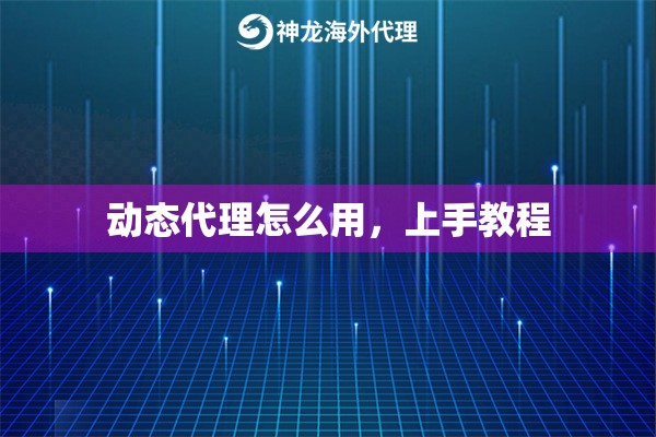 动态代理怎么用，上手教程