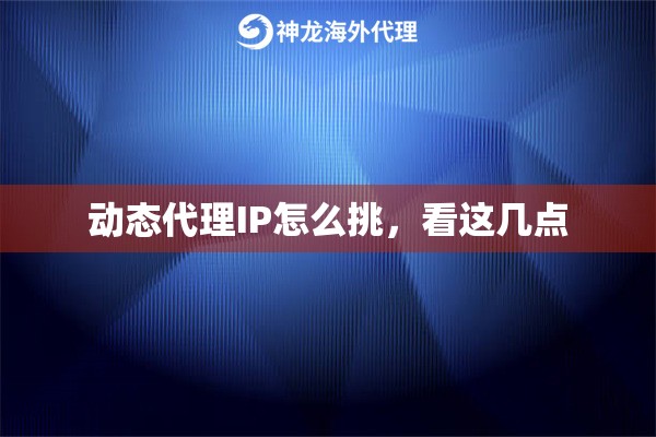 动态代理IP怎么挑，看这几点