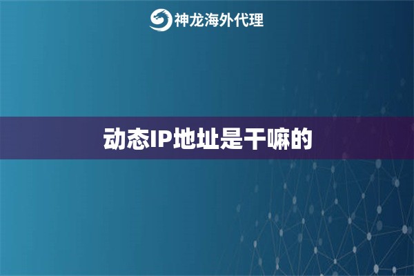 动态IP地址是干嘛的