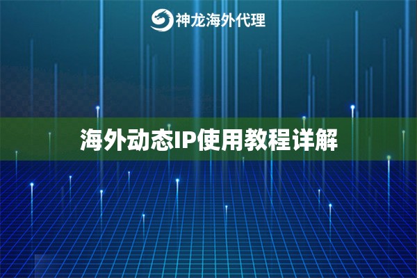海外动态IP使用教程详解