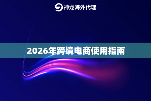 2026年跨境电商使用指南