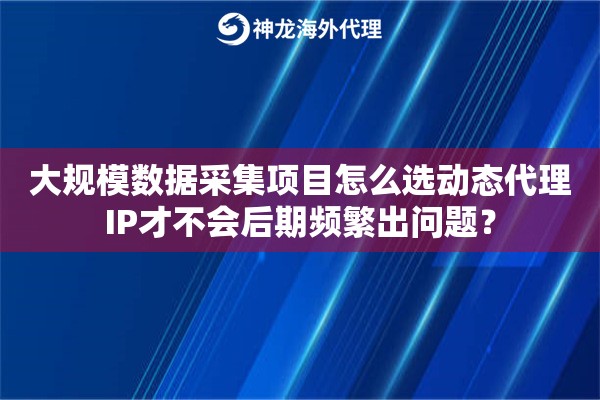 大规模数据采集项目怎么选动态代理IP才不会后期频繁出问题? 大规模数据采集项目怎么选动态代理IP才不会后期频繁出问题?