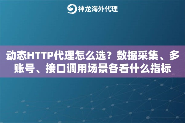 动态HTTP代理怎么选？数据采集、多账号、接口调用场景各看什么指标