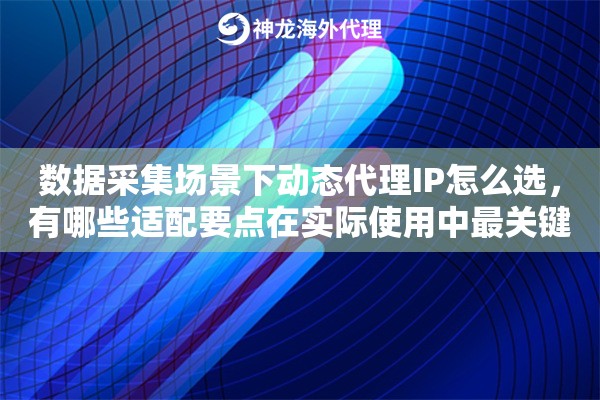 数据采集场景下动态代理IP怎么选，有哪些适配要点在实际使用中最关键