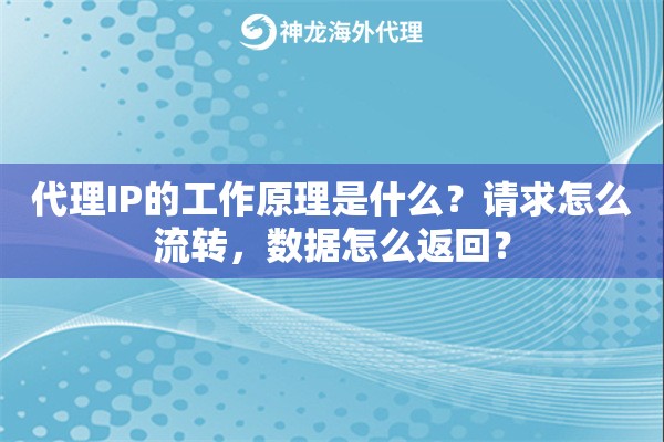 代理IP的工作原理是什么？请求怎么流转，数据怎么返回？