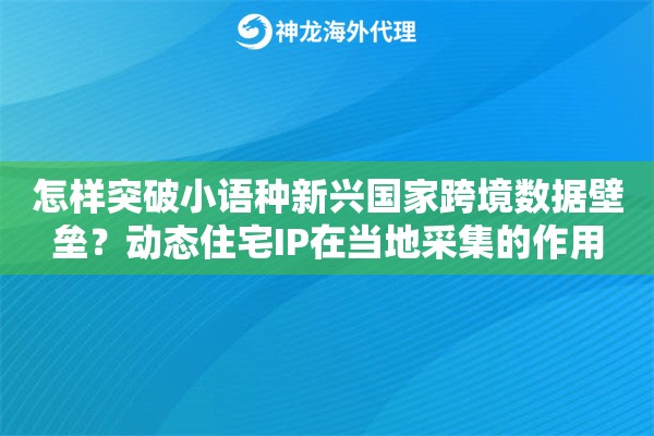 怎样突破小语种新兴国家跨境数据壁垒？动态住宅IP在当地采集的作用