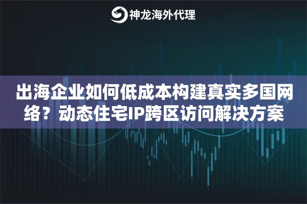 出海企业如何低成本构建真实多国网络？动态住宅IP跨区访问解决方案