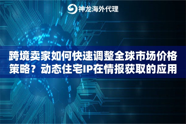 跨境卖家如何快速调整全球市场价格策略？动态住宅IP在情报获取的应用