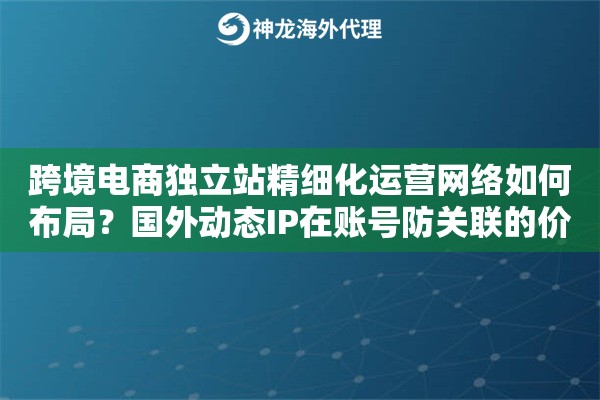 跨境电商独立站精细化运营网络如何布局？国外动态IP在账号防关联的价值