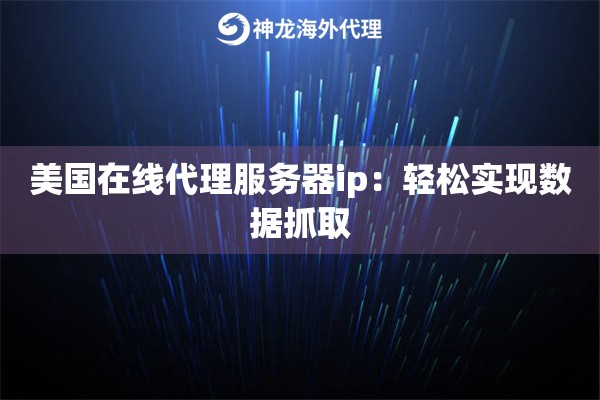 美国在线代理服务器ip：轻松实现数据抓取