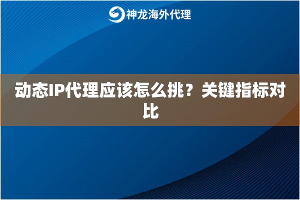 动态IP代理应该怎么挑？关键指标对比