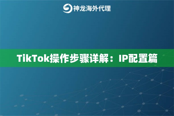 TikTok操作步骤详解：IP配置篇