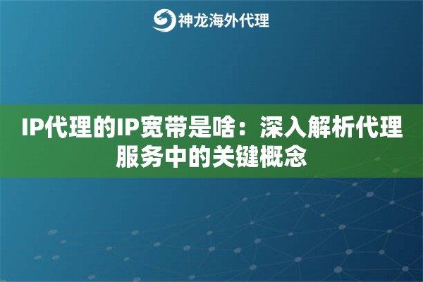 IP代理的IP宽带是啥：深入解析代理服务中的关键概念