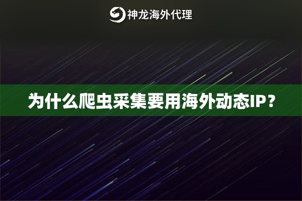 为什么爬虫采集要用海外动态IP？