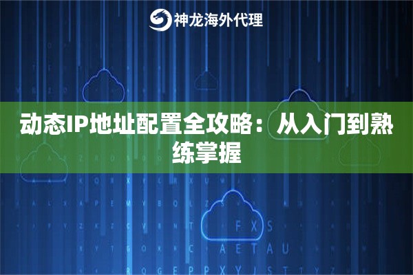 动态IP地址配置全攻略：从入门到熟练掌握