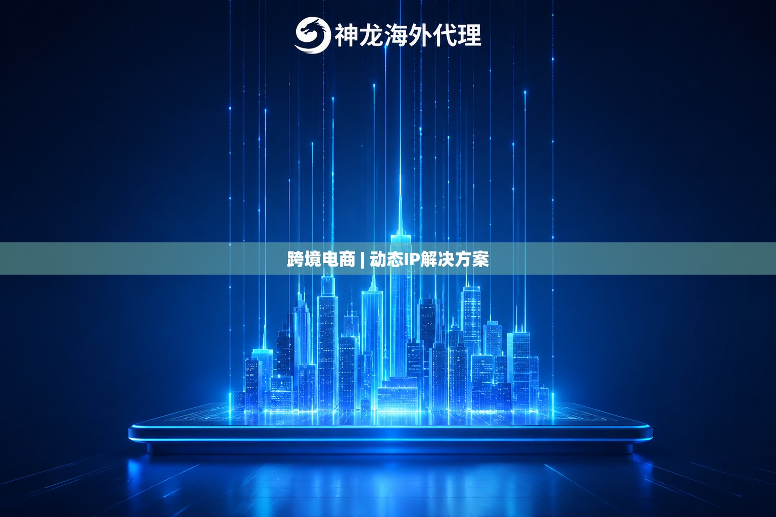 跨境电商 | 动态IP解决方案 跨境电商 | 动态IP解决方案