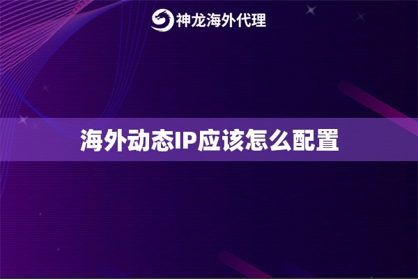 海外动态IP配置方法详解 海外动态IP配置方法详解