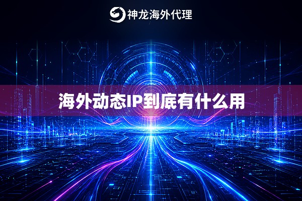 海外动态IP到底有什么用 海外动态IP到底有什么用