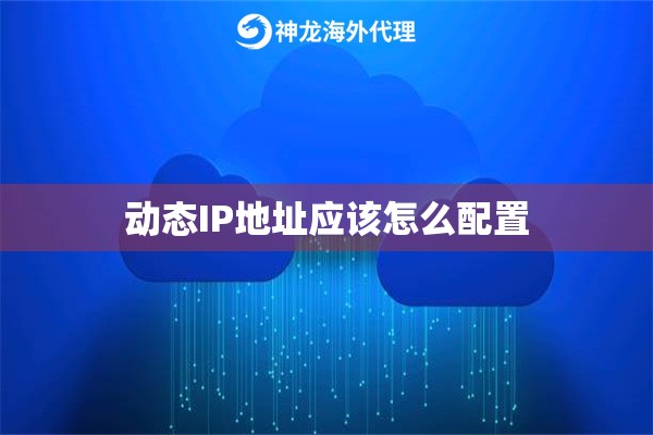 动态IP地址应该怎么配置