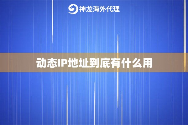 动态IP地址到底有什么用