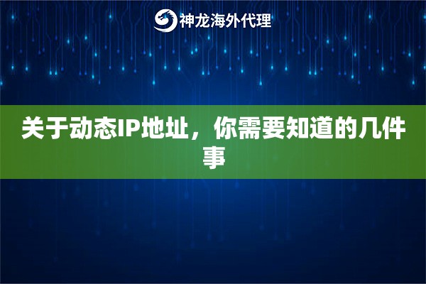关于动态IP地址，你需要知道的几件事