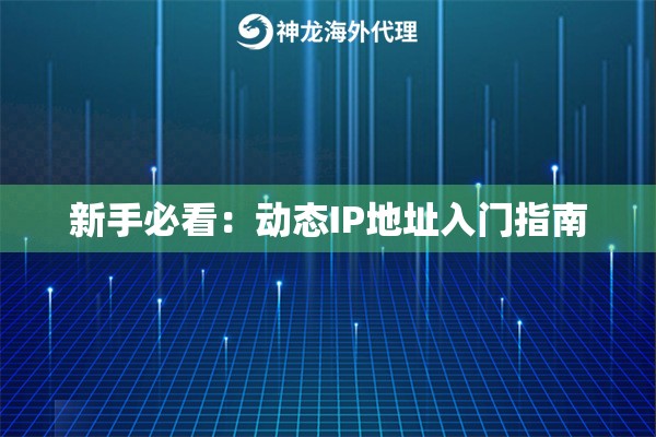 新手必看：动态IP地址入门指南