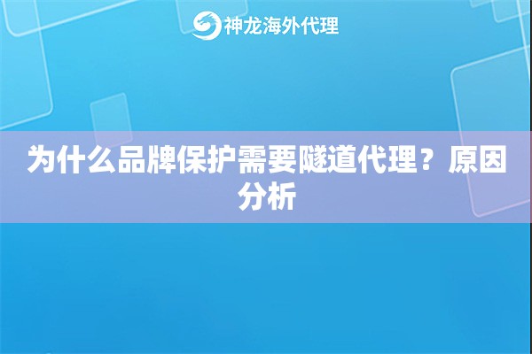 为什么品牌保护需要隧道代理？原因分析