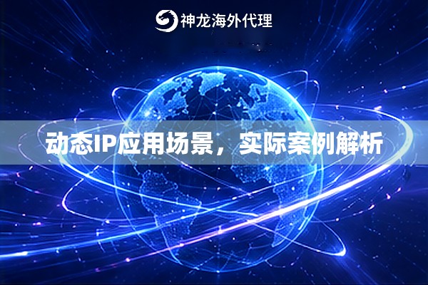 动态IP应用场景,实际案例解析 动态IP应用场景,实际案例解析