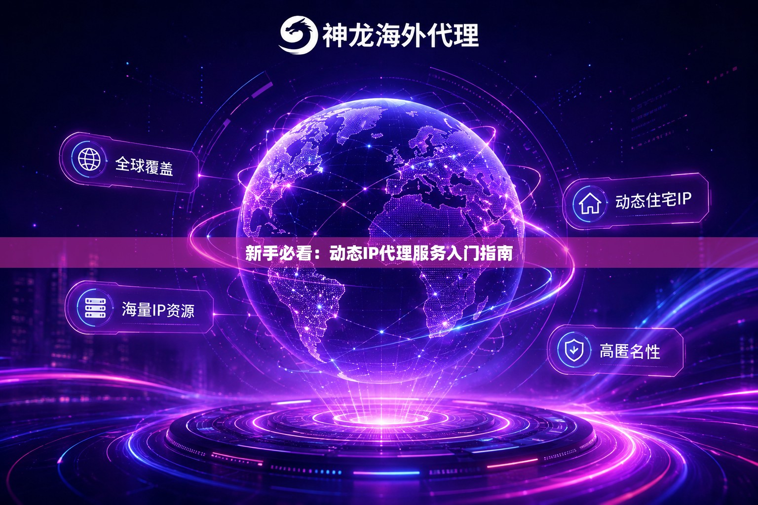 新手必看：动态IP代理服务入门指南
