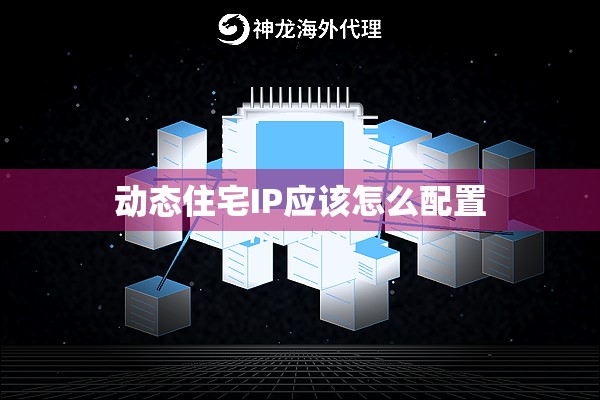 动态住宅IP配置全攻略:从入门到熟练掌握 动态住宅IP配置全攻略:从入门到熟练掌握