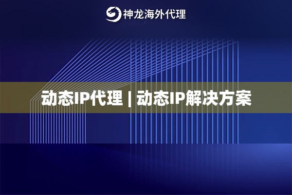 动态IP代理 | 动态IP解决方案