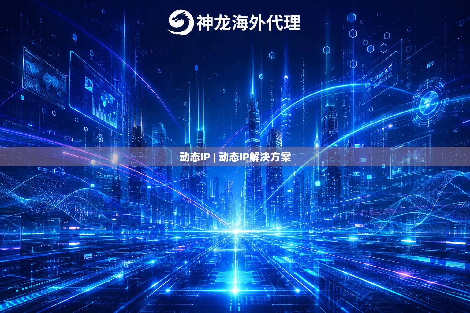 动态IP | 动态IP解决方案