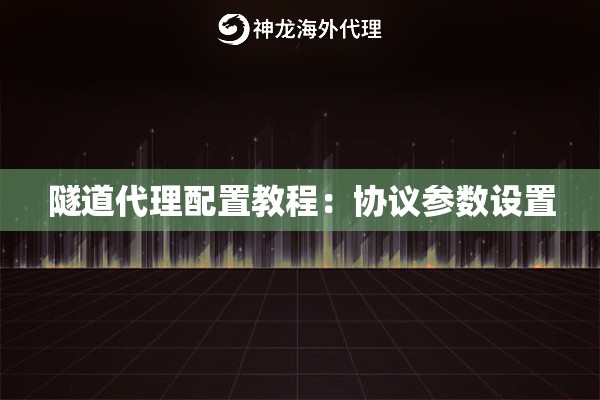 隧道代理配置教程：协议参数设置