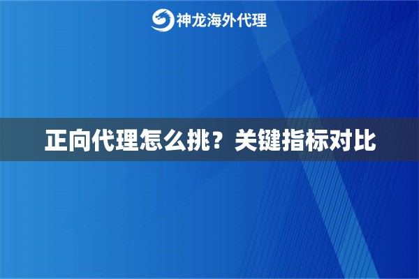 正向代理怎么挑?关键指标对比 正向代理怎么挑?关键指标对比