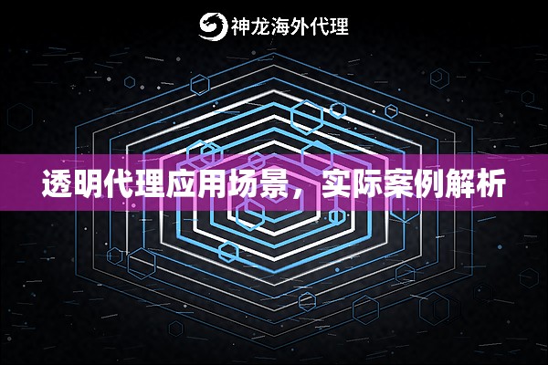 透明代理应用场景,实际案例解析 透明代理应用场景,实际案例解析