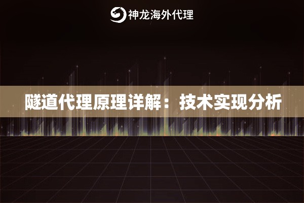 隧道代理原理详解：技术实现分析