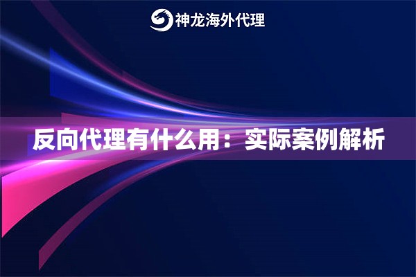 反向代理有什么用:实际案例解析 反向代理有什么用:实际案例解析