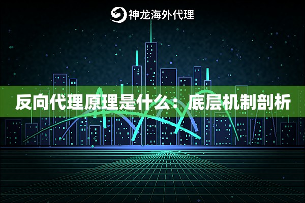 反向代理原理是什么:底层机制剖析 反向代理原理是什么:底层机制剖析