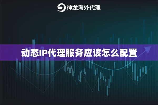 动态IP代理服务应该怎么配置