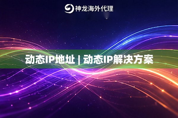 动态IP地址 | 动态IP解决方案 动态IP地址 | 动态IP解决方案