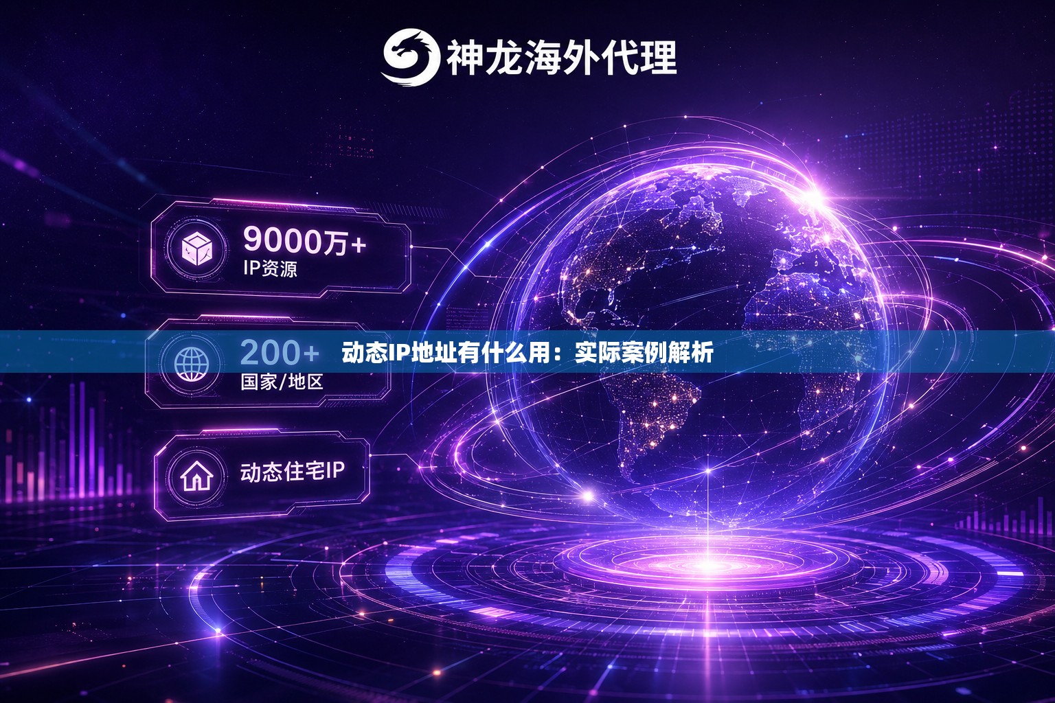 动态IP地址有什么用：实际案例解析